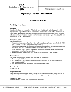 Mystery Yeast Mutation - Teach Genetics Website