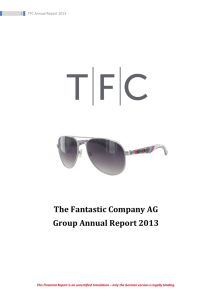 The Fantastic Company AG Group Annual Report 2013