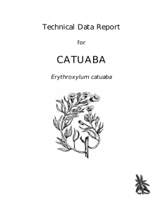 catuaba-tech