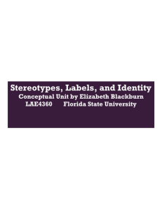 Stereotypes, Labels, and Identity