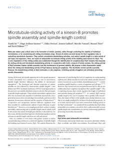 Microtubule-sliding activity of a kinesin