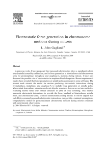 [2.] Electrostatic Force Generation in Chromosome Motions During