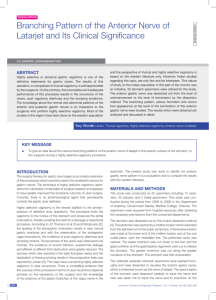 Branching Pattern of the Anterior Nerve of Latarjet and Its Clinical