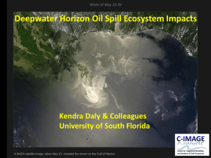Deepwater Horizon Oil Spill Ecosystem Impacts