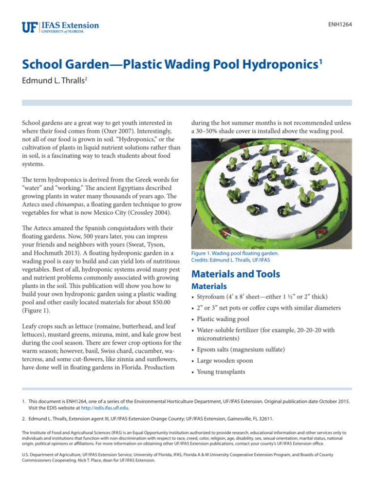 School Garden—Plastic Wading Pool Hydroponics1