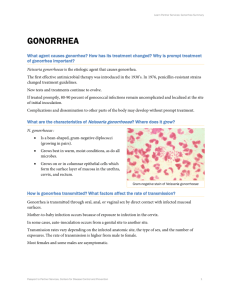gonorrhea - Passport to Partner Services