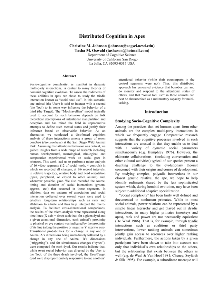 Distributed Cognition in Apes