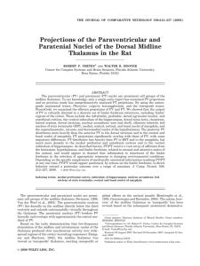 Projections of the paraventricular and paratenial nuclei of the dorsal