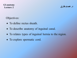 • To define rectus sheath. • To describe anatomy of inguinal canal