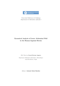 Dynamical Analysis of Lower Abdominal Wall in the Human Inguinal