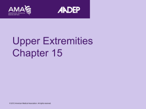 Upper Extremities Chapter 15 - American Academy of Disability