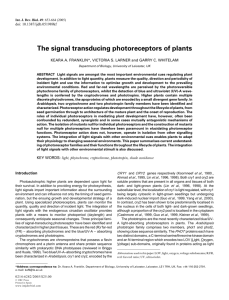 The signal transducing photoreceptors of plants