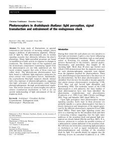 Photoreceptors in Arabidopsis thaliana: light perception, signal