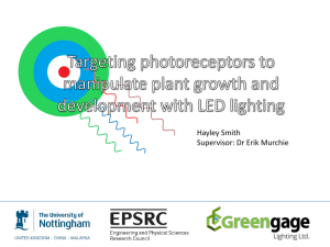 Targeting photoreceptors to manipulate plant growth and