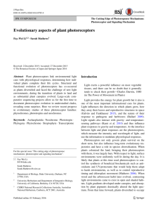 Evolutionary aspects of plant photoreceptors