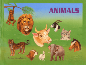 Animals - National Institute for Mentally Handicaped