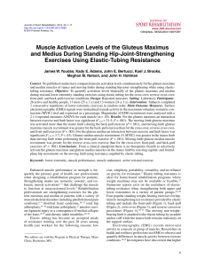 Muscle Activation Levels of the Gluteus Maximus and
