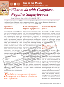 Negative Staphylococci - STA HealthCare Communications