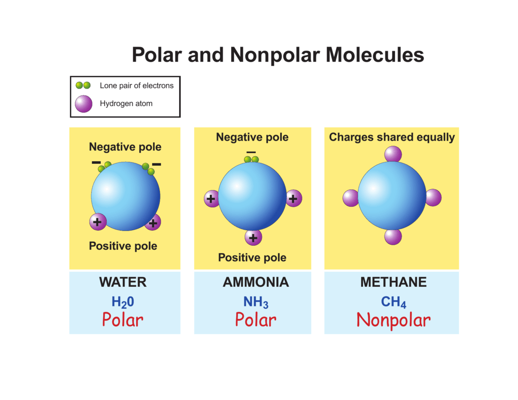 Polar and Nonpolar Molecules