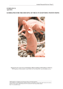 Guidelines for the housing of mice in scientific institutions