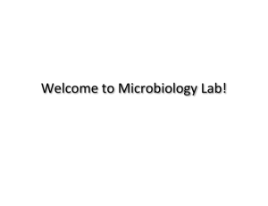 Welcome to Microbiology Lab! - ucsc.edu) and Media Services