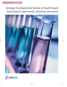 516-SF Mini Lab Report