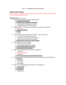 CH 10 – BLOOD Review Questions