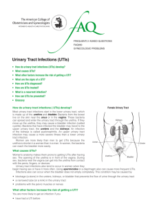 Urinary Tract Infections - American College of Obstetricians and