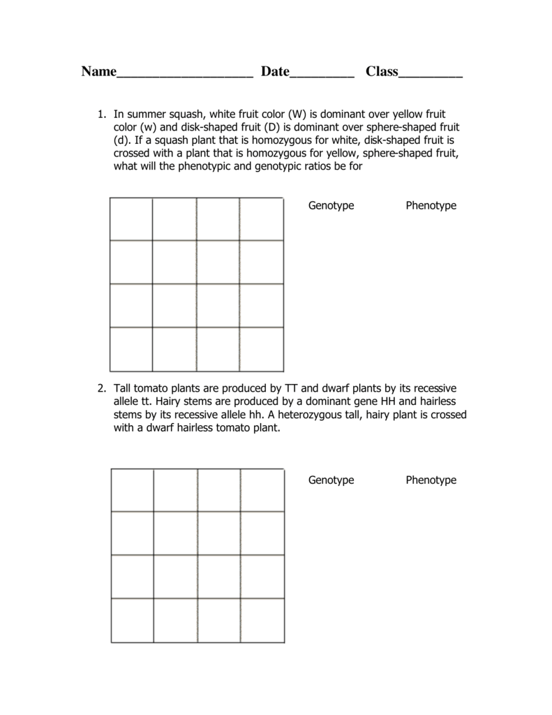 Dihybrid Cross Worksheet