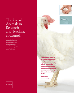 The Use of Animals in Research and Teaching