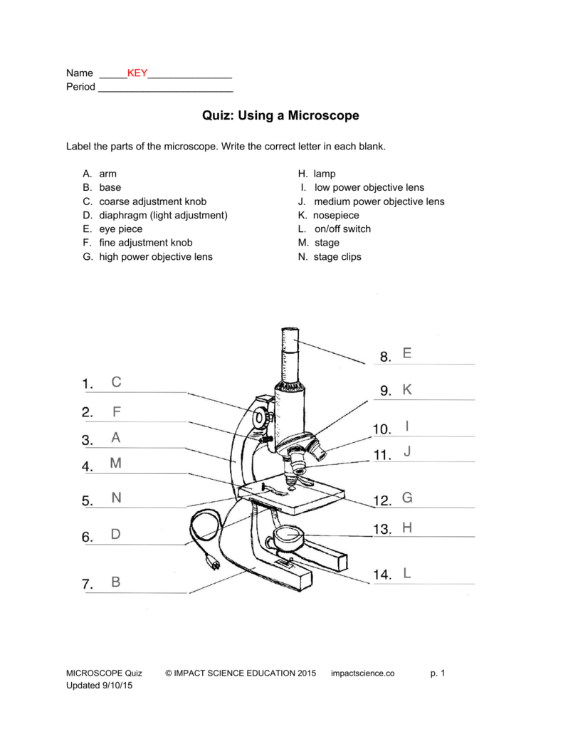 Microscope Practice Worksheet