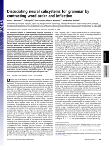 Dissociating neural subsystems for grammar by contrasting word