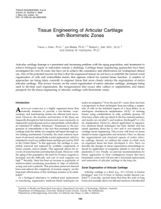 Tissue Engineering of Articular Cartilage with Biomimetic Zones