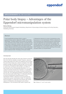 Polar body biopsy – Advantages of the Eppendorf