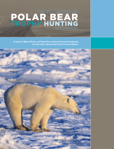 Polar Bear Hunt Economic Study - International Fund for Animal