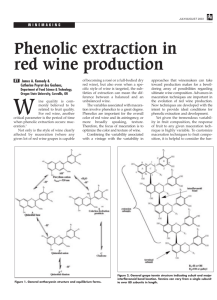 Phenolic extraction in red wine production