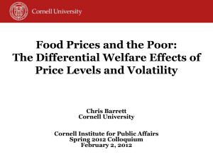 The Differential Welfare Effects of Price Levels and Volatility