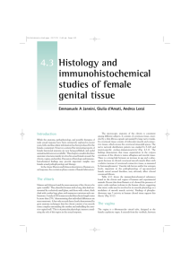 Histology and immunohistochemical studies of female genital tissue