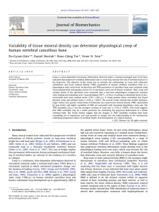 Variability of tissue mineral density can determine physiological