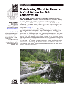 Maintaining Wood in Streams: A Vital Action for Fish