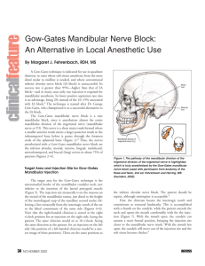 Gow-Gates Mandibular Nerve Block