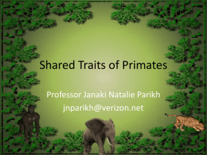Shared Traits of Primates