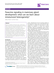 Paracrine signaling in mammary gland development: what can we