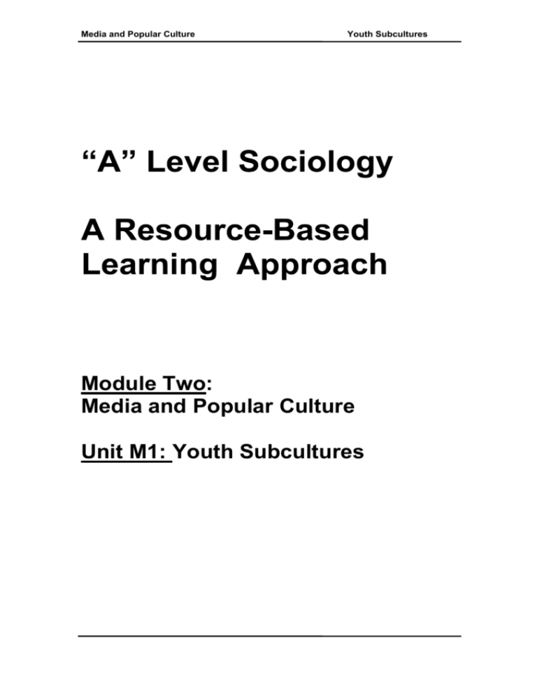 Youth Subcultures Sociology Central