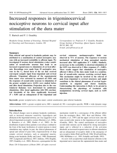Increased responses in trigeminocervical nociceptive neurons to