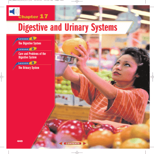 Chapter 17: Digestive and Urinary Systems