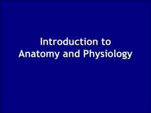 What Is Anatomy and Physiology?