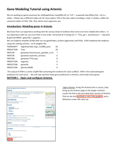 Gene Modeling Tutorial using Artemis