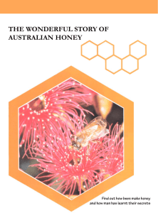 the wonderful story of australian honey