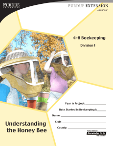 Understanding the Honey Bee - Purdue Extension